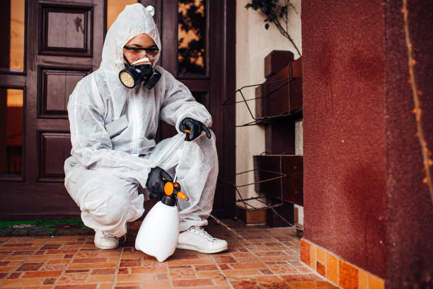 Reliable Wasp Removal contractor in Graysville, AL by Show Me Pest Control
